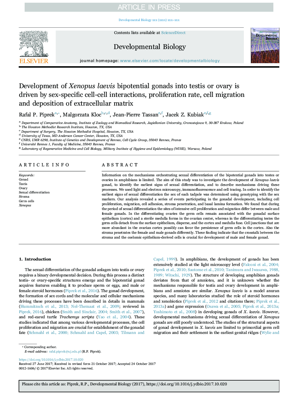 Development of Xenopus laevis bipotential gonads into testis or ovary is driven by sex-specific cell-cell interactions, proliferation rate, cell migration and deposition of extracellular matrix