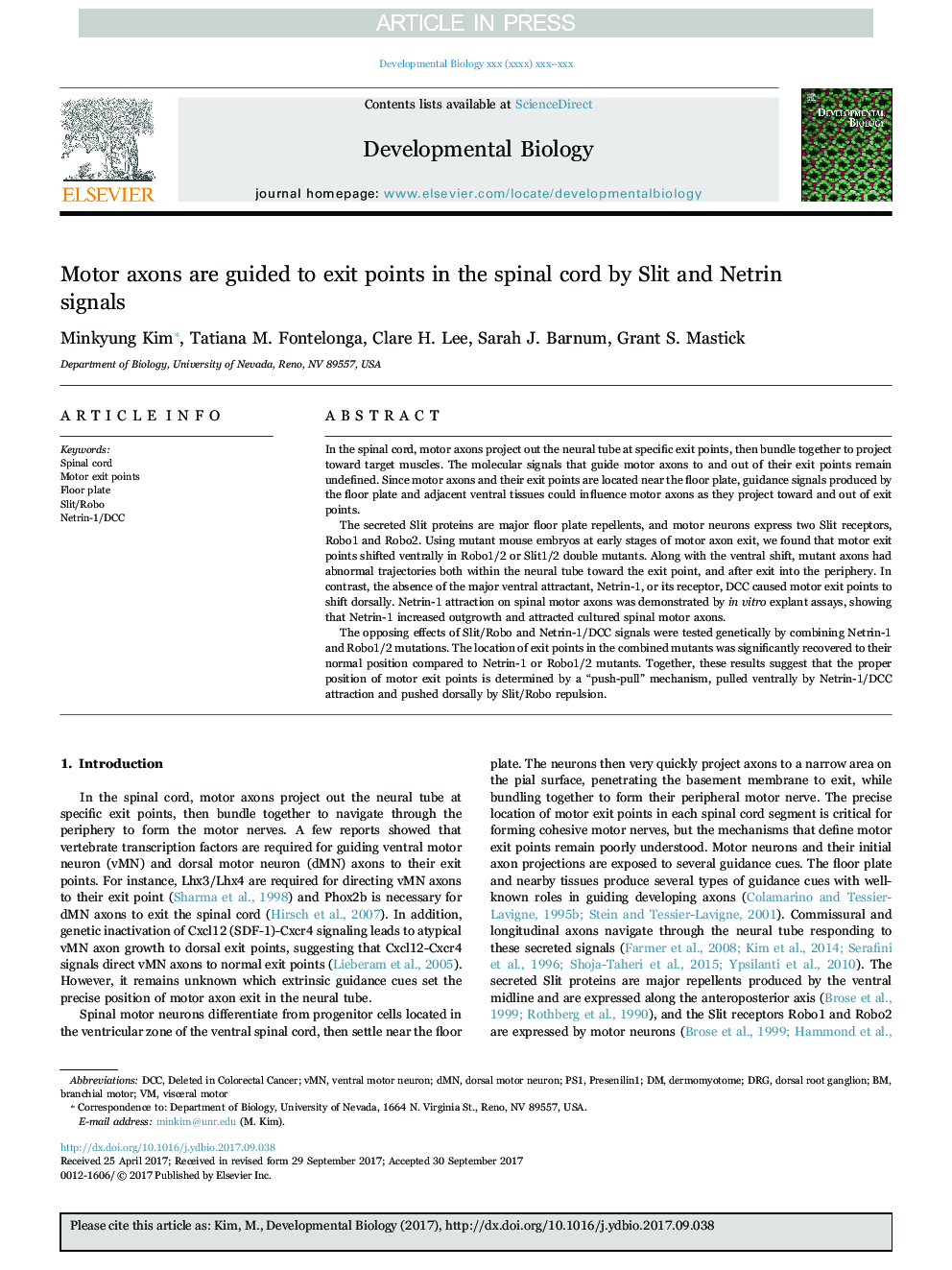 Motor axons are guided to exit points in the spinal cord by Slit and Netrin signals