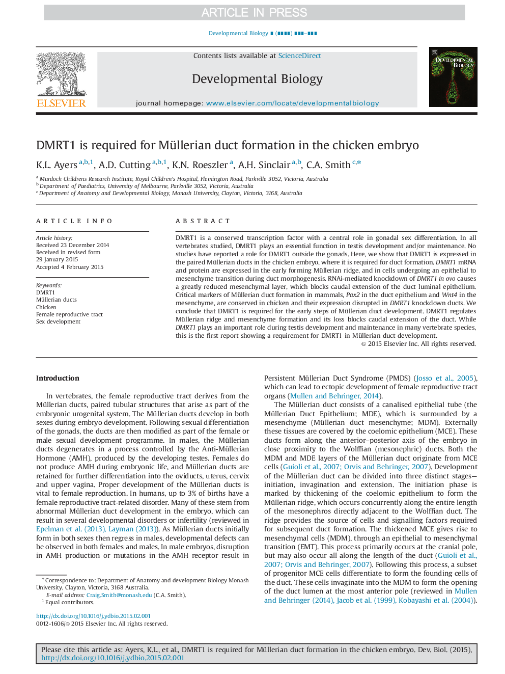 DMRT1 is required for Müllerian duct formation in the chicken embryo