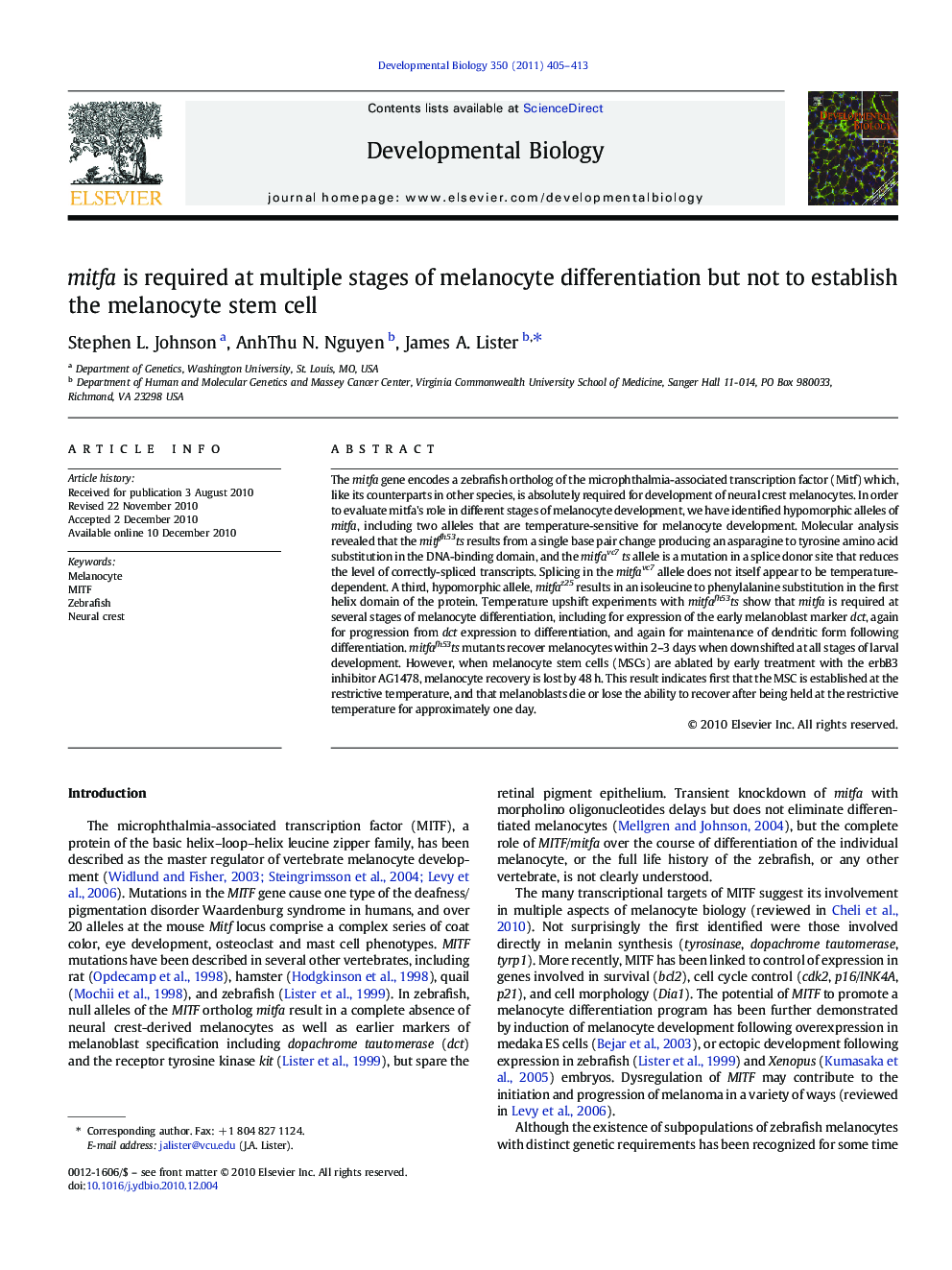 mitfa is required at multiple stages of melanocyte differentiation but not to establish the melanocyte stem cell