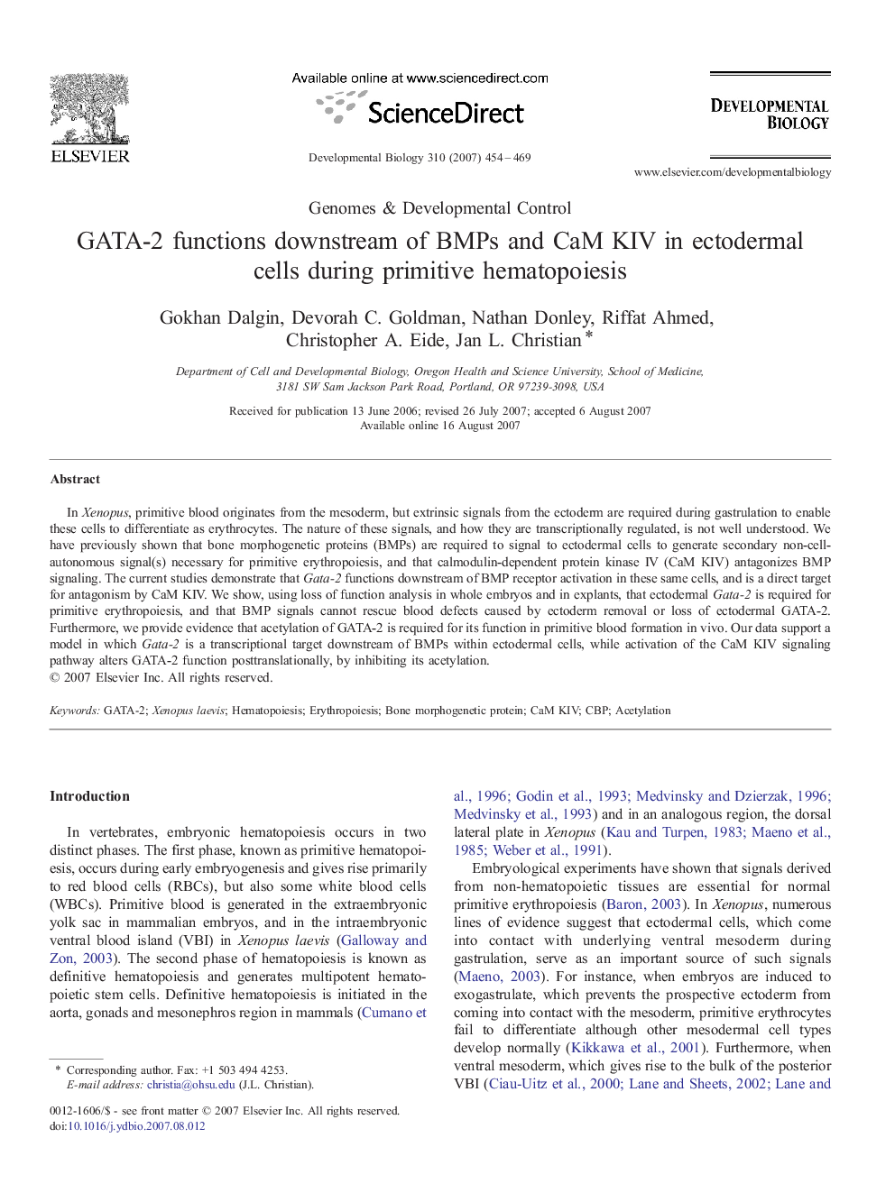 GATA-2 functions downstream of BMPs and CaM KIV in ectodermal cells during primitive hematopoiesis