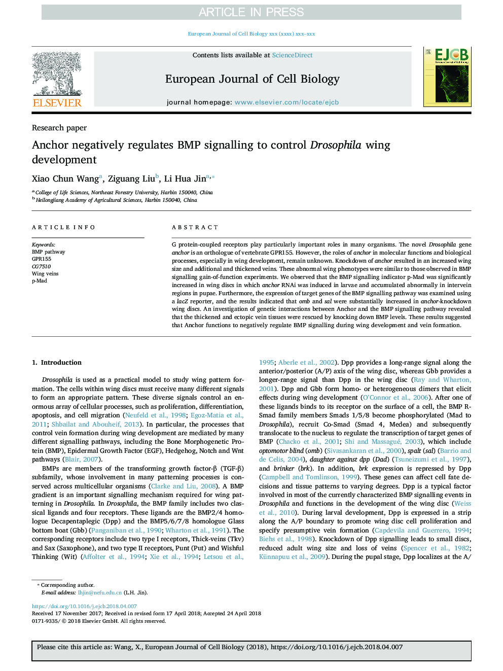 Anchor negatively regulates BMP signalling to control Drosophila wing development