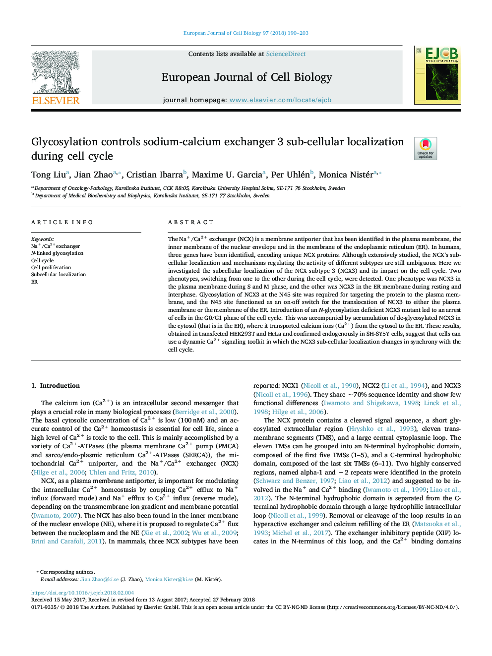 Glycosylation controls sodium-calcium exchanger 3 sub-cellular localization during cell cycle