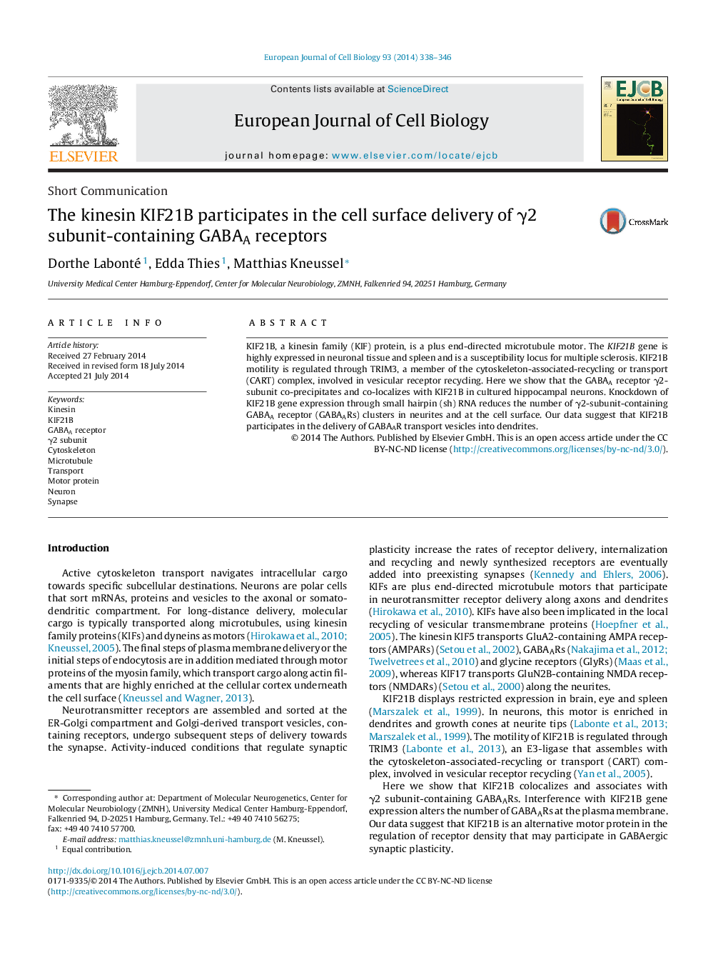 The kinesin KIF21B participates in the cell surface delivery of Î³2 subunit-containing GABAA receptors