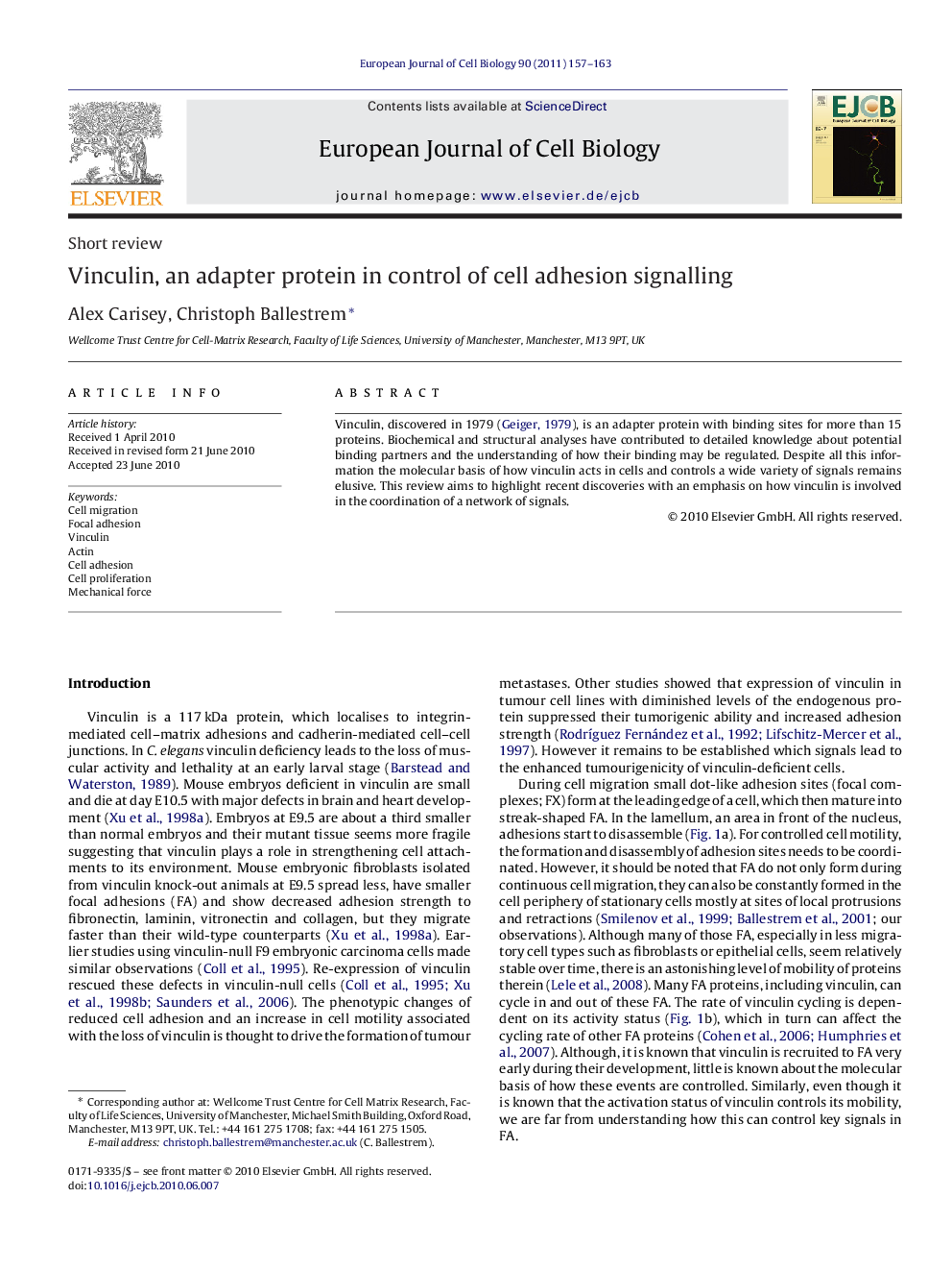 Vinculin, an adapter protein in control of cell adhesion signalling