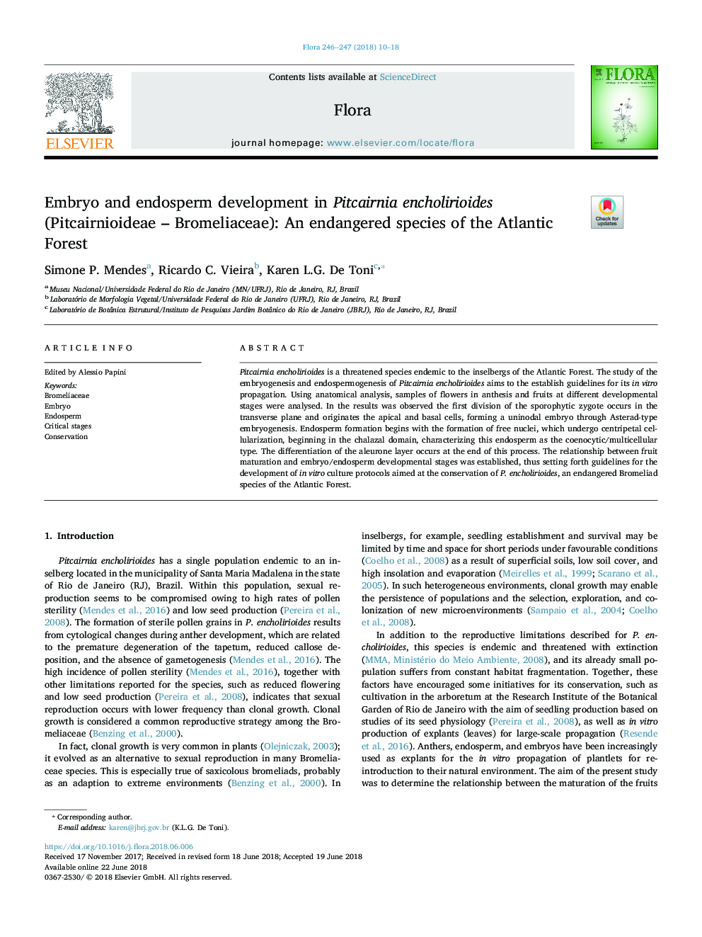 Embryo and endosperm development in Pitcairnia encholirioides (Pitcairnioideae - Bromeliaceae): An endangered species of the Atlantic Forest