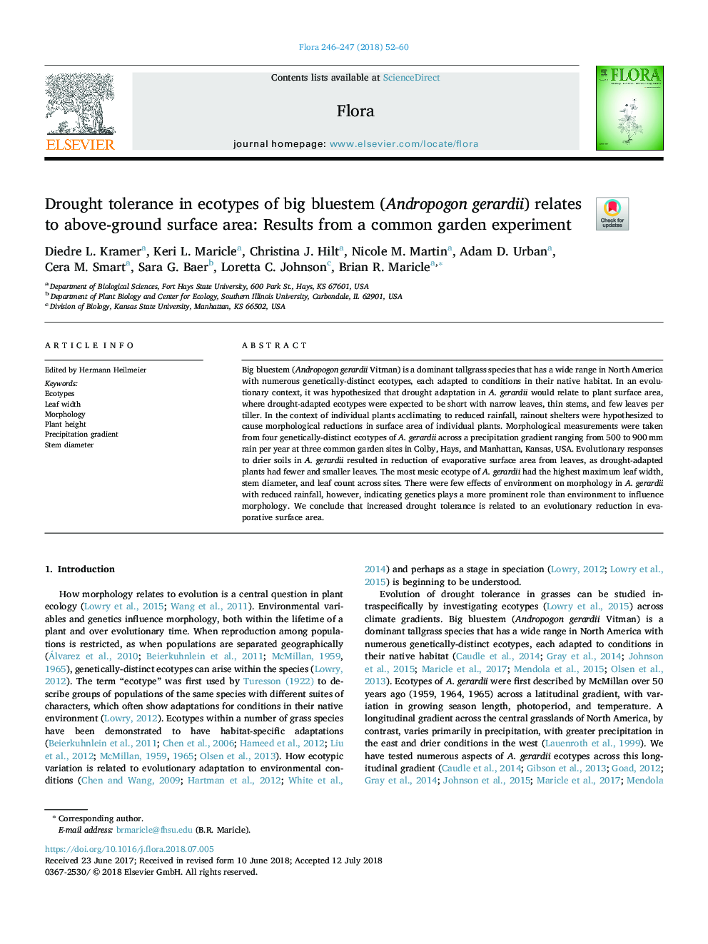 Drought tolerance in ecotypes of big bluestem (Andropogon gerardii) relates to above-ground surface area: Results from a common garden experiment