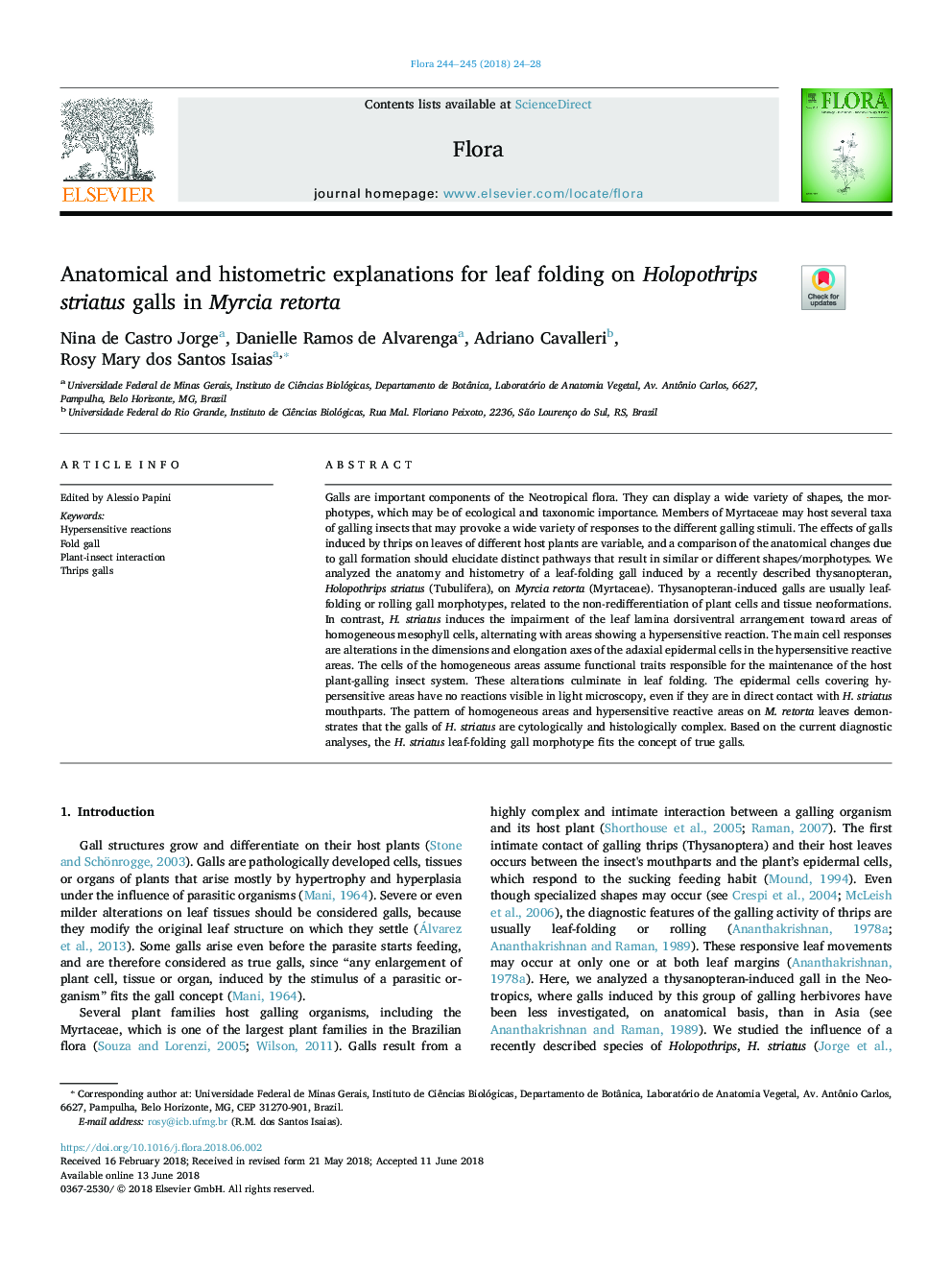 Anatomical and histometric explanations for leaf folding on Holopothrips striatus galls in Myrcia retorta