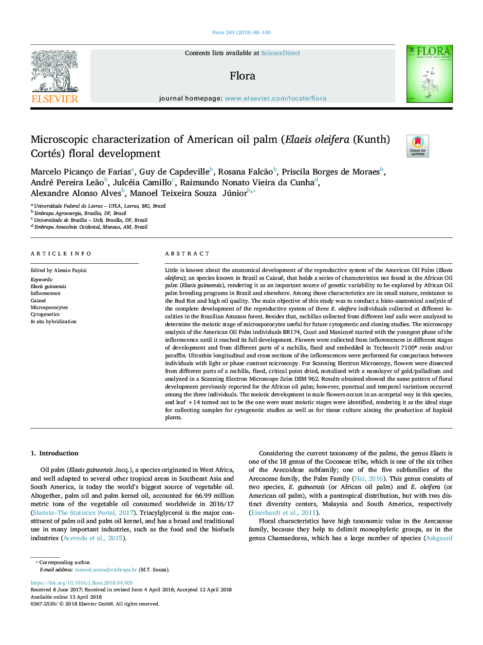 Microscopic characterization of American oil palm (Elaeis oleifera (Kunth) Cortés) floral development