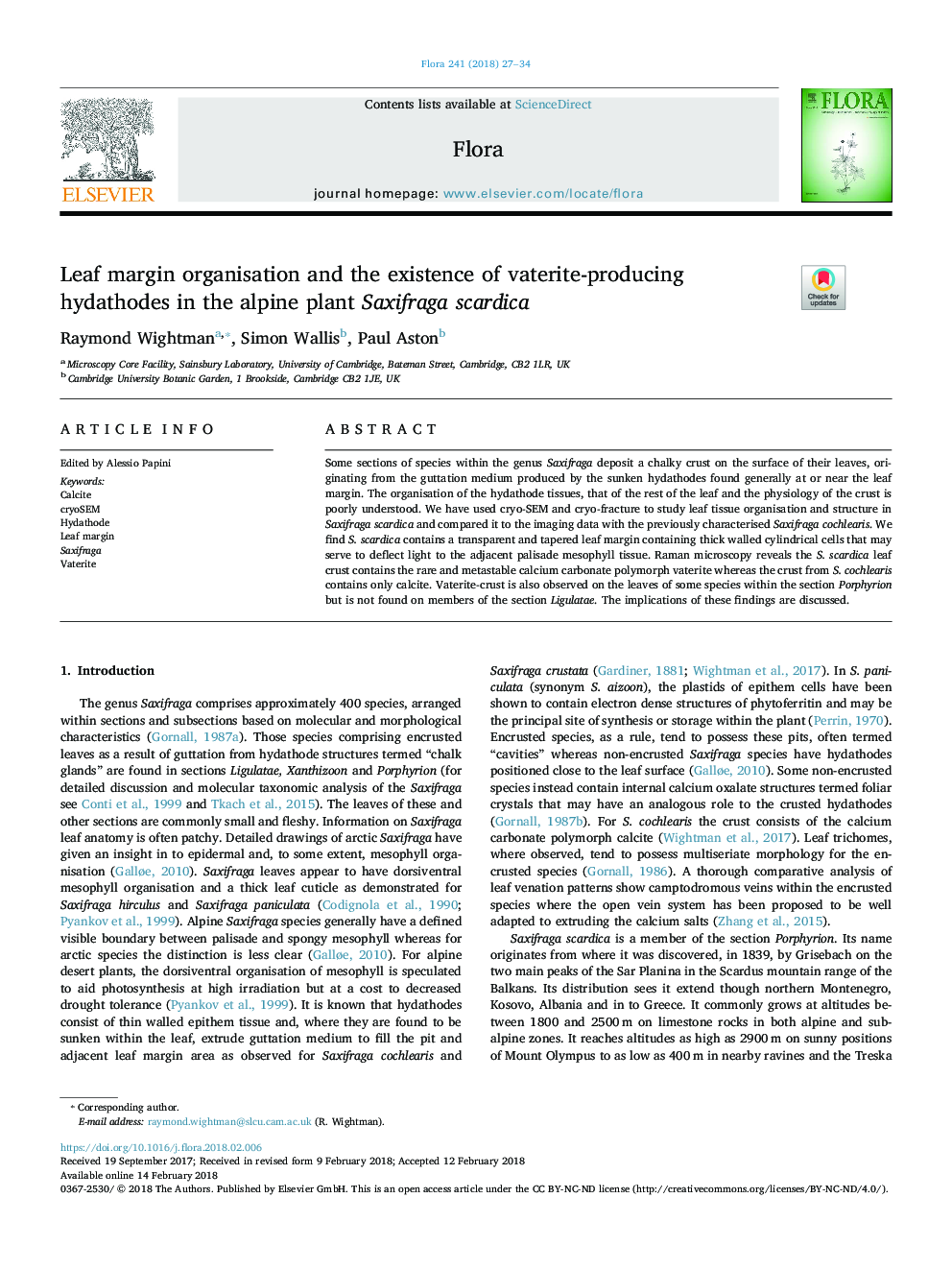 Leaf margin organisation and the existence of vaterite-producing hydathodes in the alpine plant Saxifraga scardica