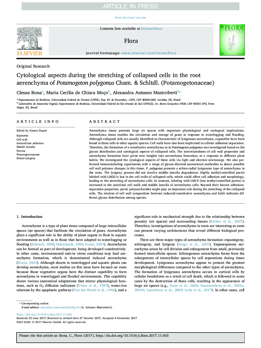 Cytological aspects during the stretching of collapsed cells in the root aerenchyma of Potamogeton polygonus Cham. & Schltdl. (Potamogetonaceae)