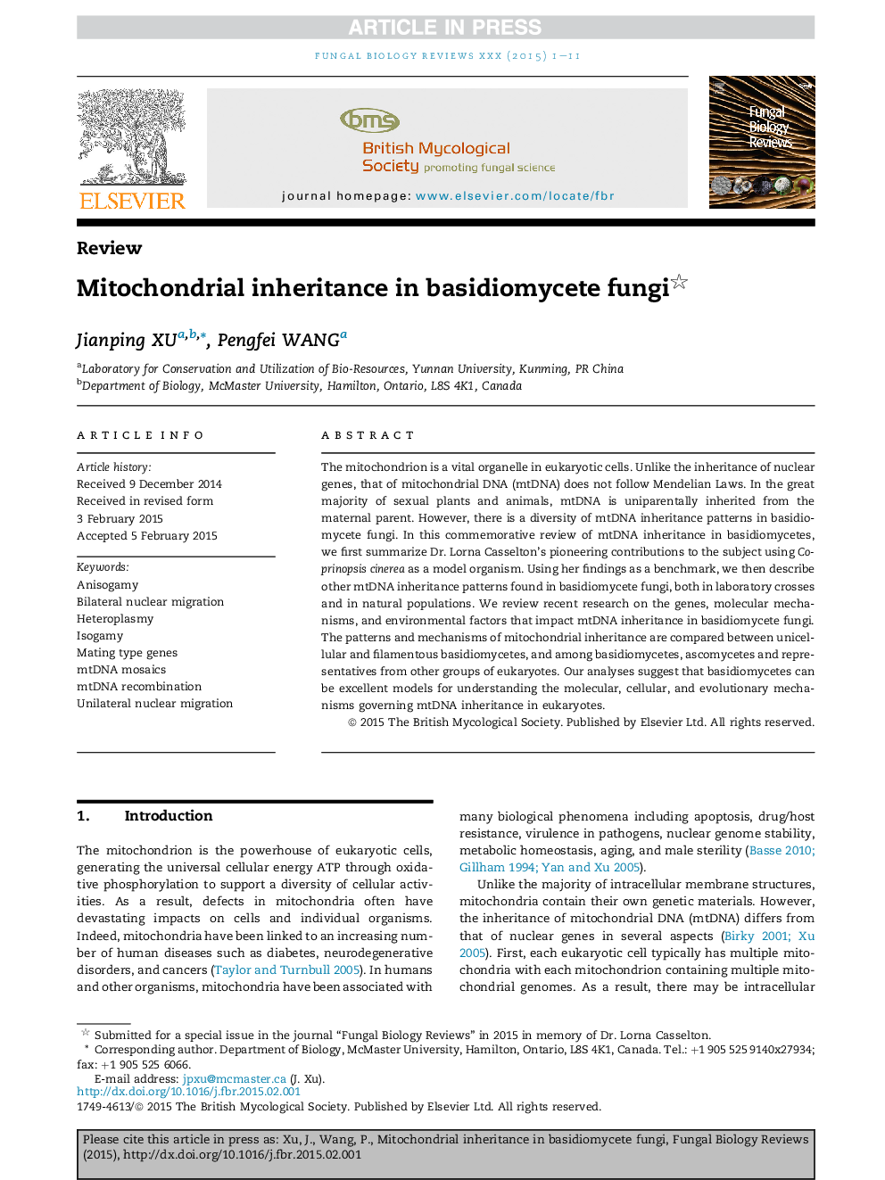 Mitochondrial inheritance in basidiomycete fungi