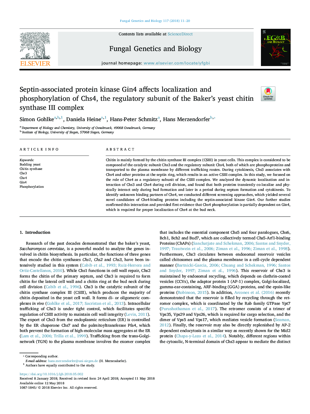 Septin-associated protein kinase Gin4 affects localization and phosphorylation of Chs4, the regulatory subunit of the Baker's yeast chitin synthase III complex