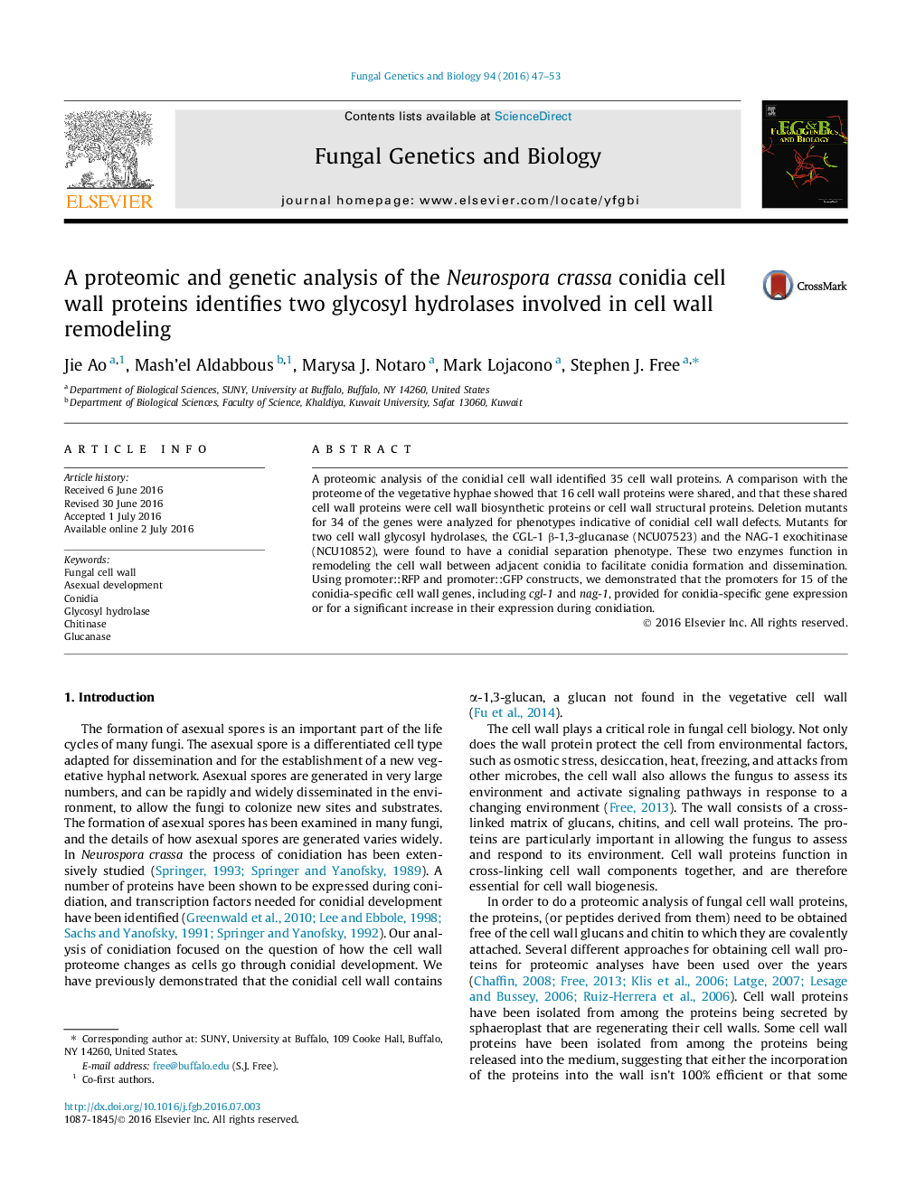 A proteomic and genetic analysis of the Neurospora crassa conidia cell wall proteins identifies two glycosyl hydrolases involved in cell wall remodeling