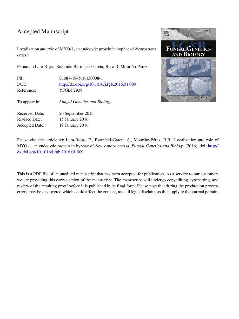 Localization and role of MYO-1, an endocytic protein in hyphae of Neurospora crassa