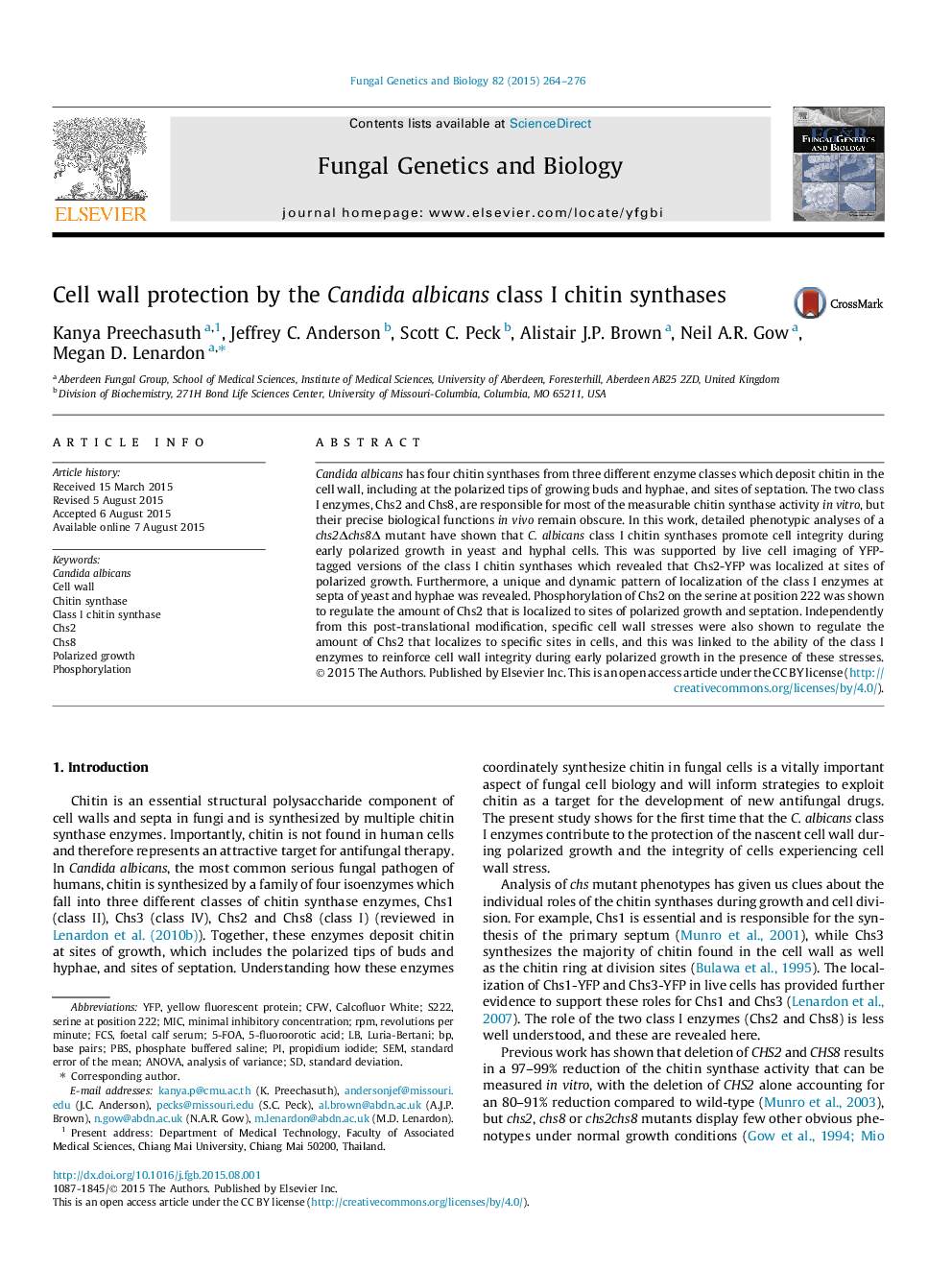 Cell wall protection by the Candida albicans class I chitin synthases