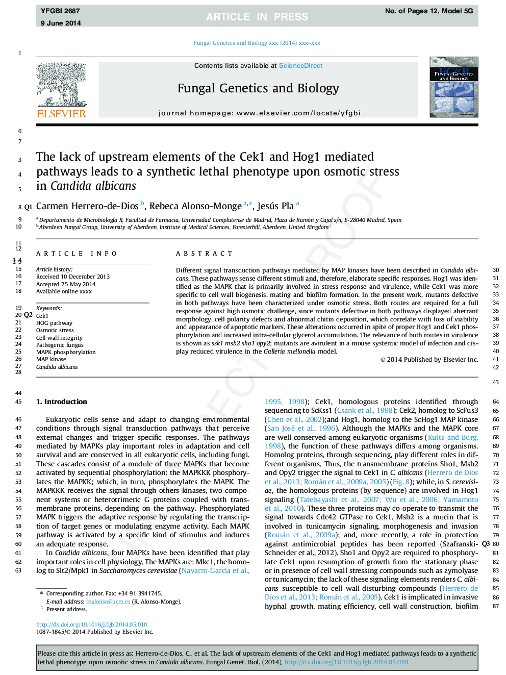 The lack of upstream elements of the Cek1 and Hog1 mediated pathways leads to a synthetic lethal phenotype upon osmotic stress in Candida albicans