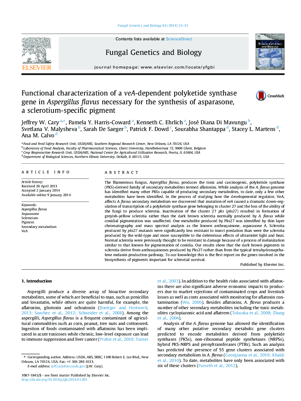 Functional characterization of a veA-dependent polyketide synthase gene in Aspergillus flavus necessary for the synthesis of asparasone, a sclerotium-specific pigment