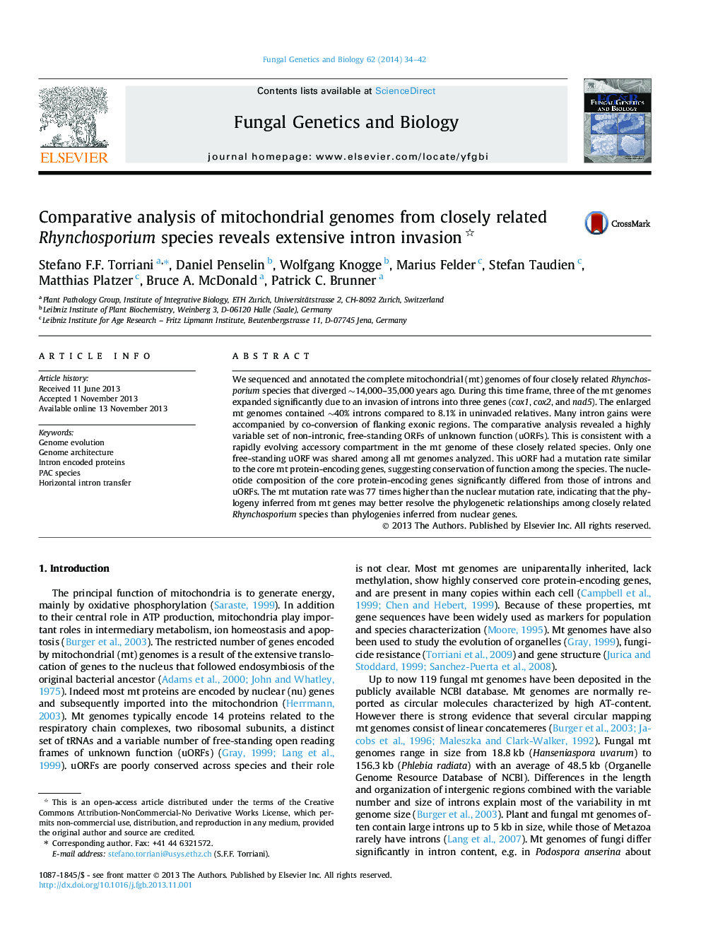 Comparative analysis of mitochondrial genomes from closely related Rhynchosporium species reveals extensive intron invasion