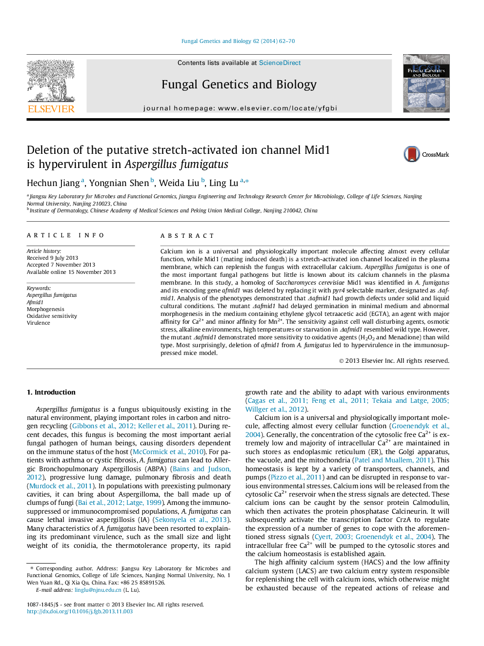 Deletion of the putative stretch-activated ion channel Mid1 is hypervirulent in Aspergillus fumigatus