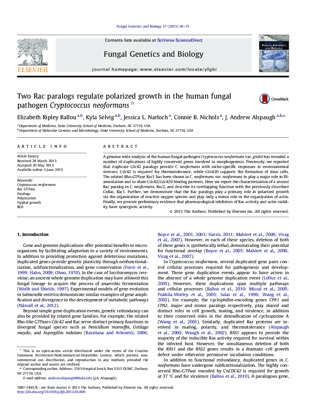 Two Rac paralogs regulate polarized growth in the human fungal pathogen Cryptococcus neoformans