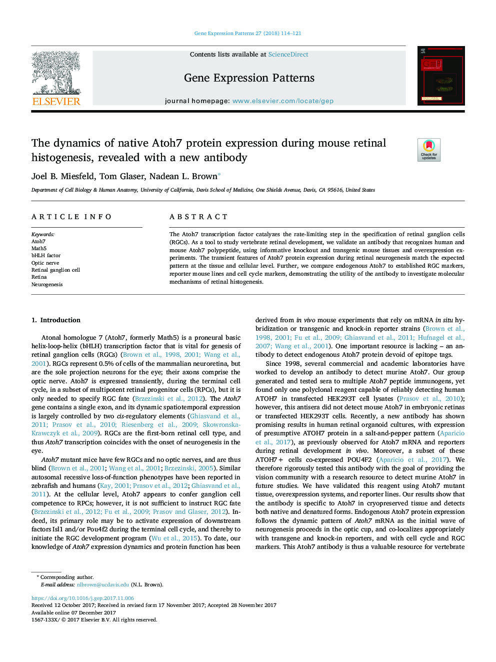 The dynamics of native Atoh7 protein expression during mouse retinal histogenesis, revealed with a new antibody