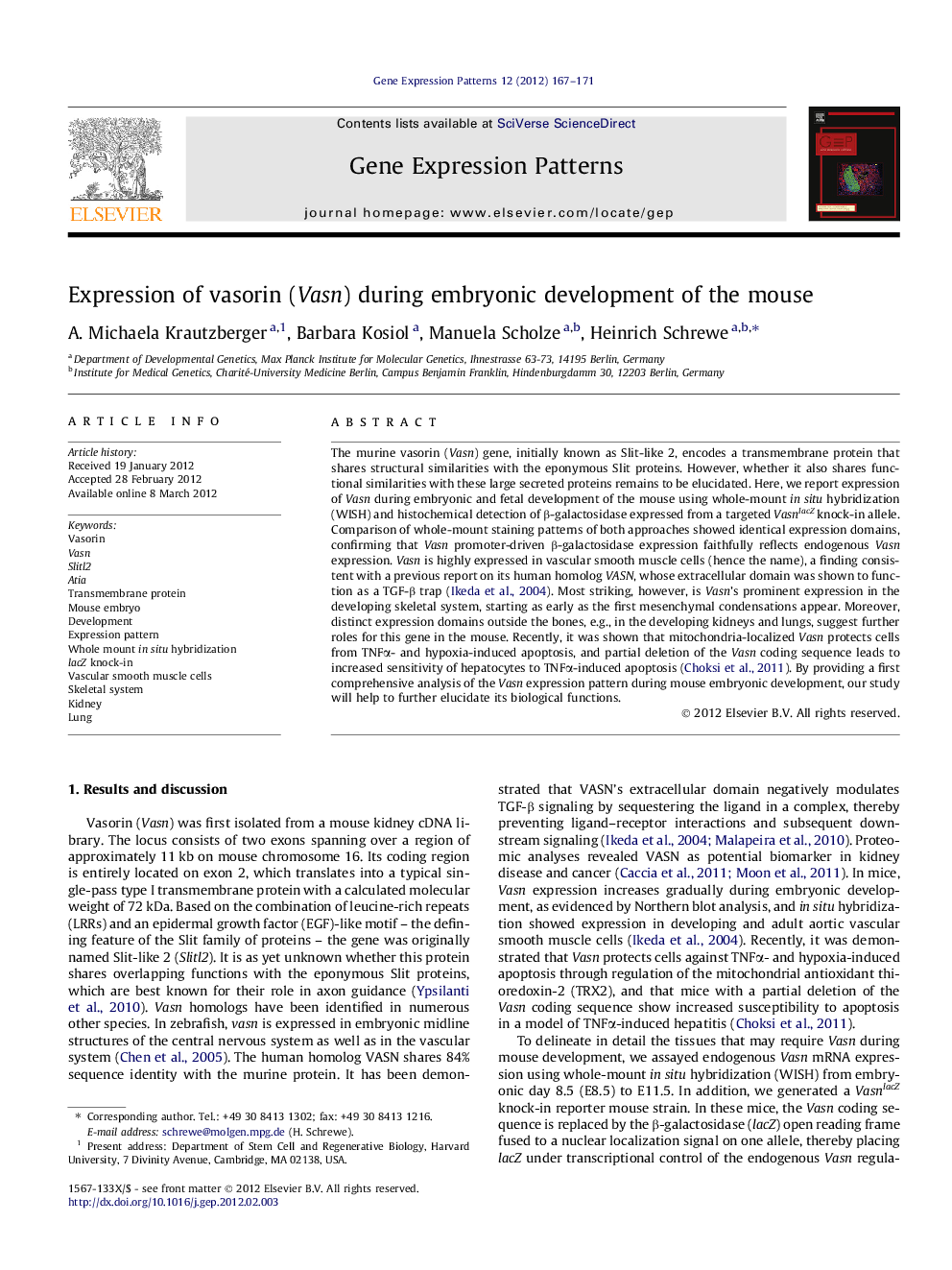 Expression of vasorin (Vasn) during embryonic development of the mouse