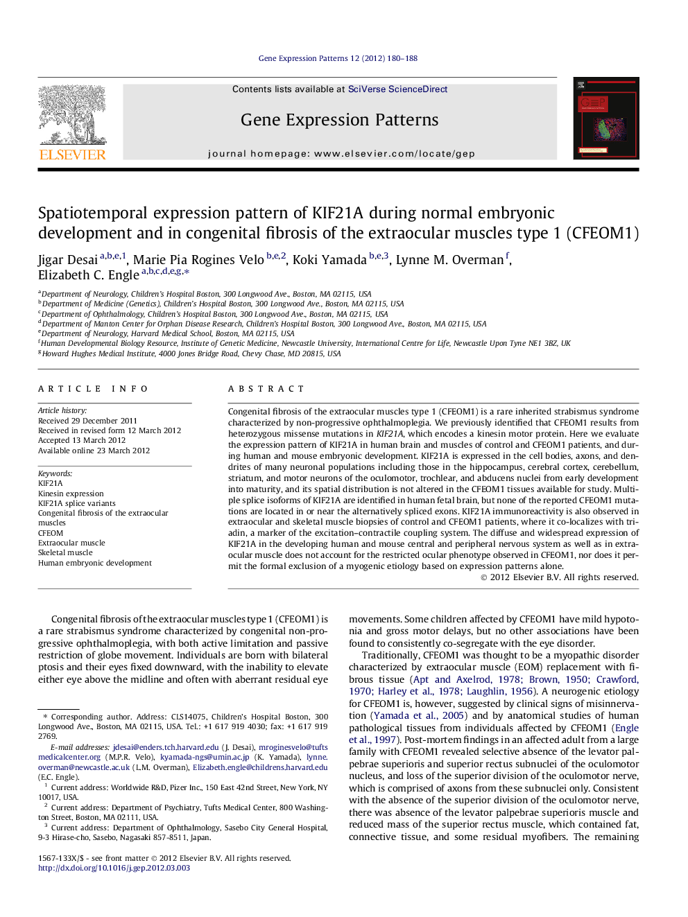 Spatiotemporal expression pattern of KIF21A during normal embryonic development and in congenital fibrosis of the extraocular muscles type 1 (CFEOM1)