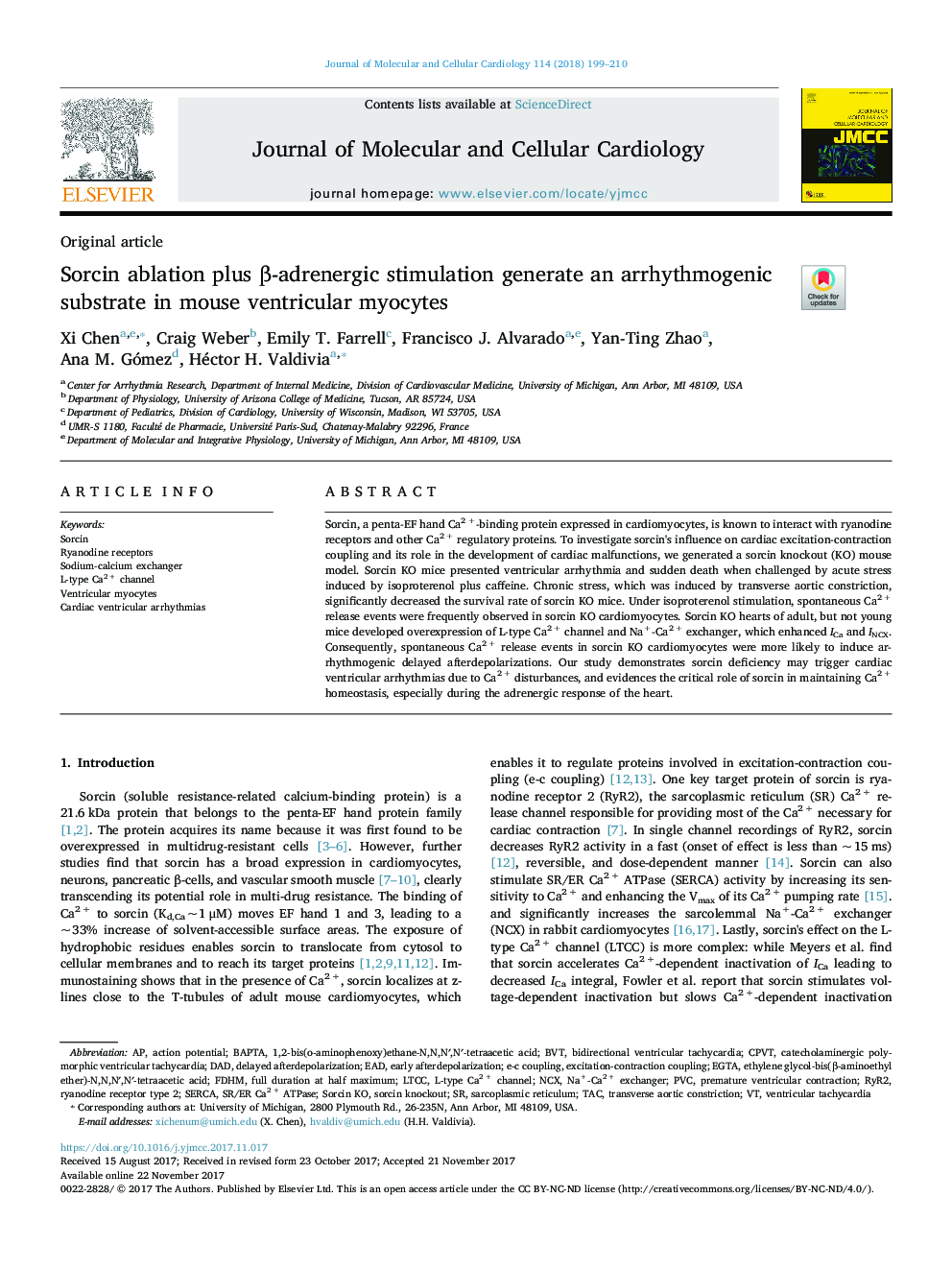 Sorcin ablation plus Î²-adrenergic stimulation generate an arrhythmogenic substrate in mouse ventricular myocytes