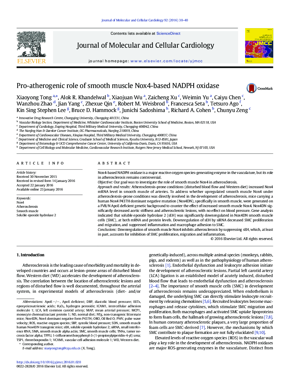 Pro-atherogenic role of smooth muscle Nox4-based NADPH oxidase