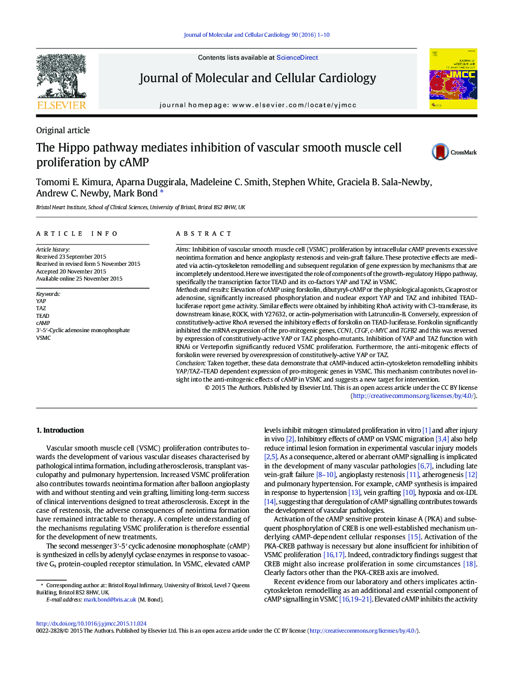 The Hippo pathway mediates inhibition of vascular smooth muscle cell proliferation by cAMP