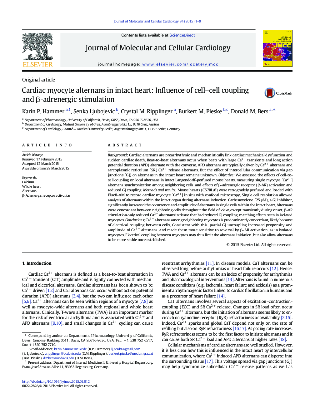 Cardiac myocyte alternans in intact heart: Influence of cell-cell coupling and Î²-adrenergic stimulation