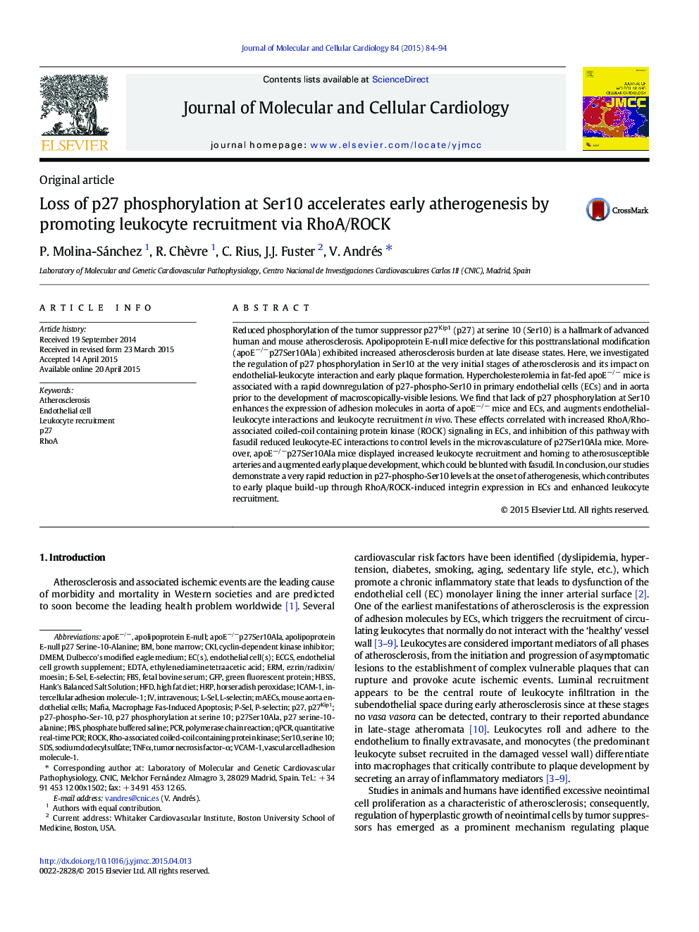 Loss of p27 phosphorylation at Ser10 accelerates early atherogenesis by promoting leukocyte recruitment via RhoA/ROCK