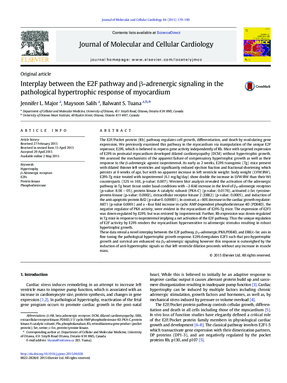 Interplay between the E2F pathway and Î²-adrenergic signaling in the pathological hypertrophic response of myocardium