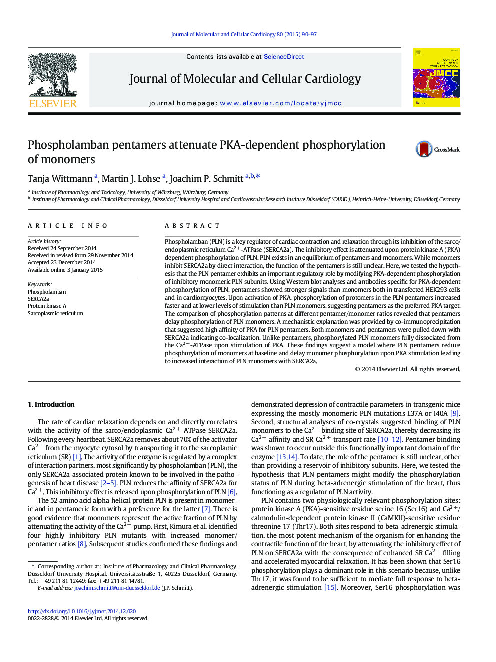 Phospholamban pentamers attenuate PKA-dependent phosphorylation of monomers