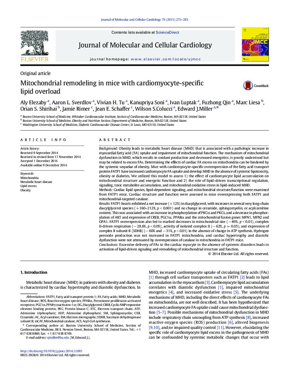 Mitochondrial remodeling in mice with cardiomyocyte-specific lipid overload