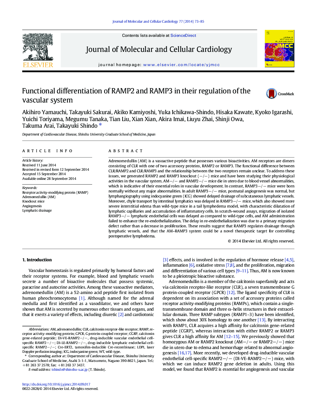 Functional differentiation of RAMP2 and RAMP3 in their regulation of the vascular system