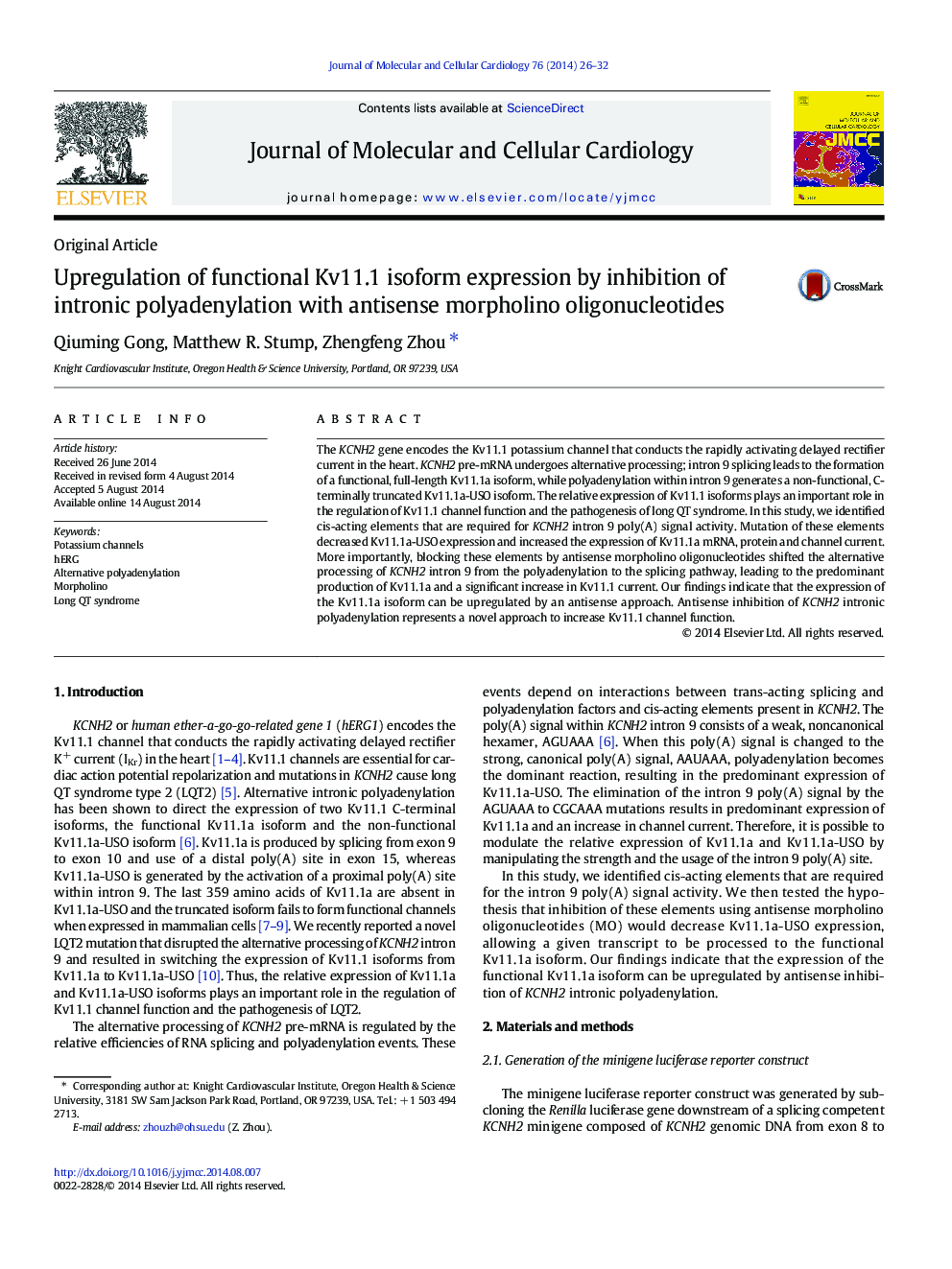 Upregulation of functional Kv11.1 isoform expression by inhibition of intronic polyadenylation with antisense morpholino oligonucleotides