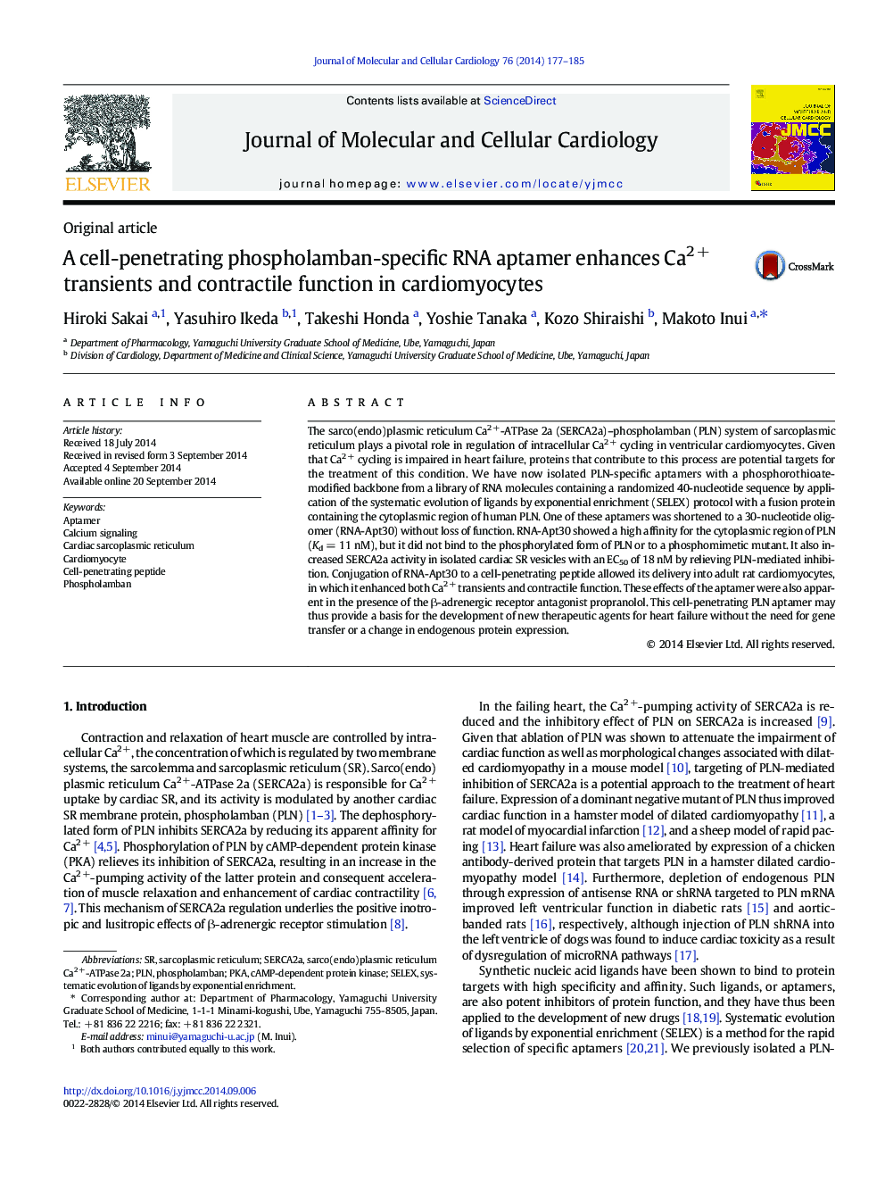 عکس صفحه اول مقاله: A cell-penetrating phospholamban-specific RNA aptamer enhances Ca2Â + transients and contractile function in cardiomyocytes A cell-penetrating phospholamban-specific RNA aptamer enhances Ca2Â + transients and contractile function in cardiomyocytes