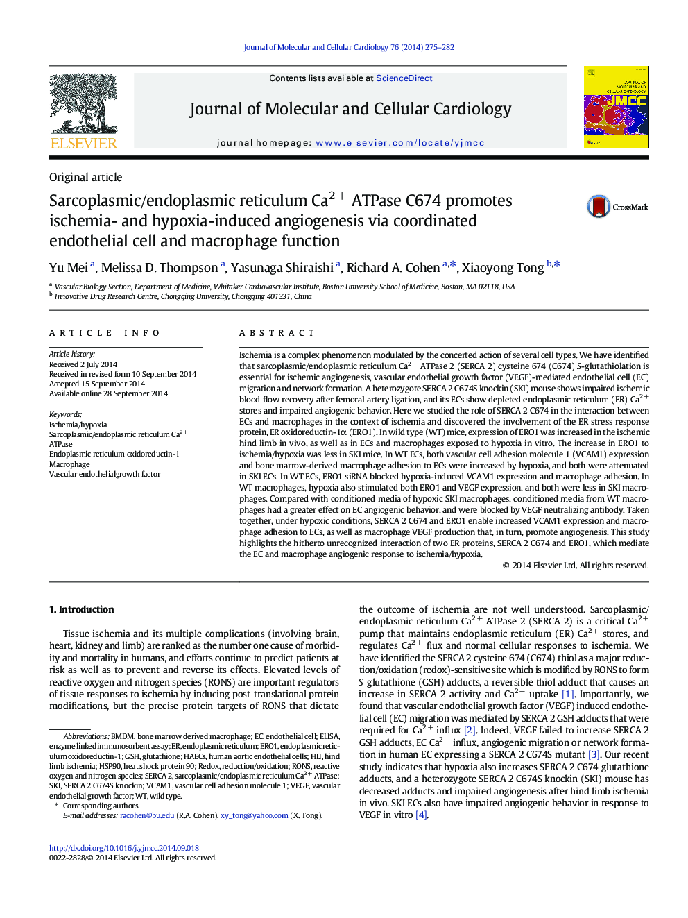 Sarcoplasmic/endoplasmic reticulum Ca2Â + ATPase C674 promotes ischemia- and hypoxia-induced angiogenesis via coordinated endothelial cell and macrophage function