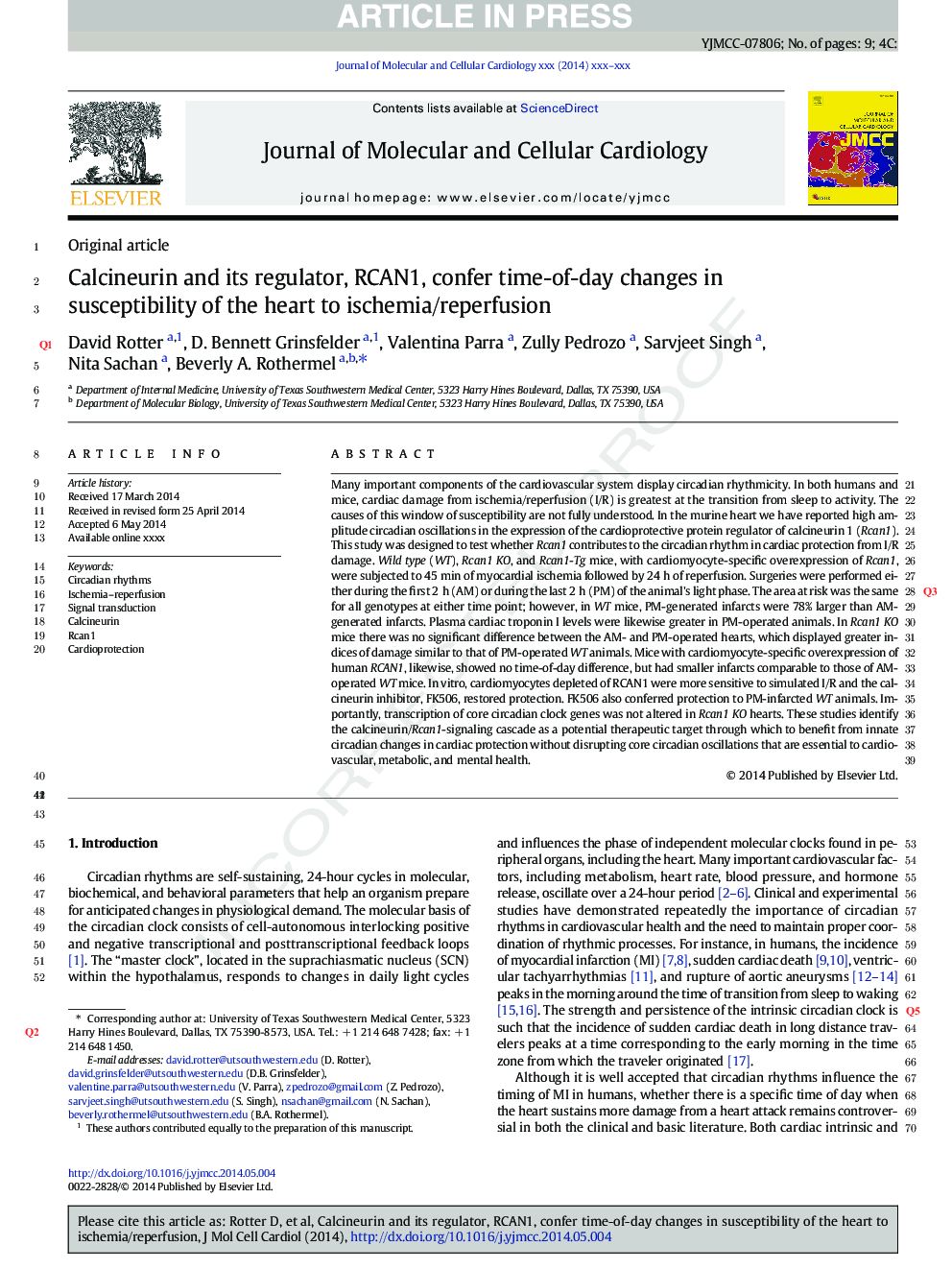 Calcineurin and its regulator, RCAN1, confer time-of-day changes in susceptibility of the heart to ischemia/reperfusion