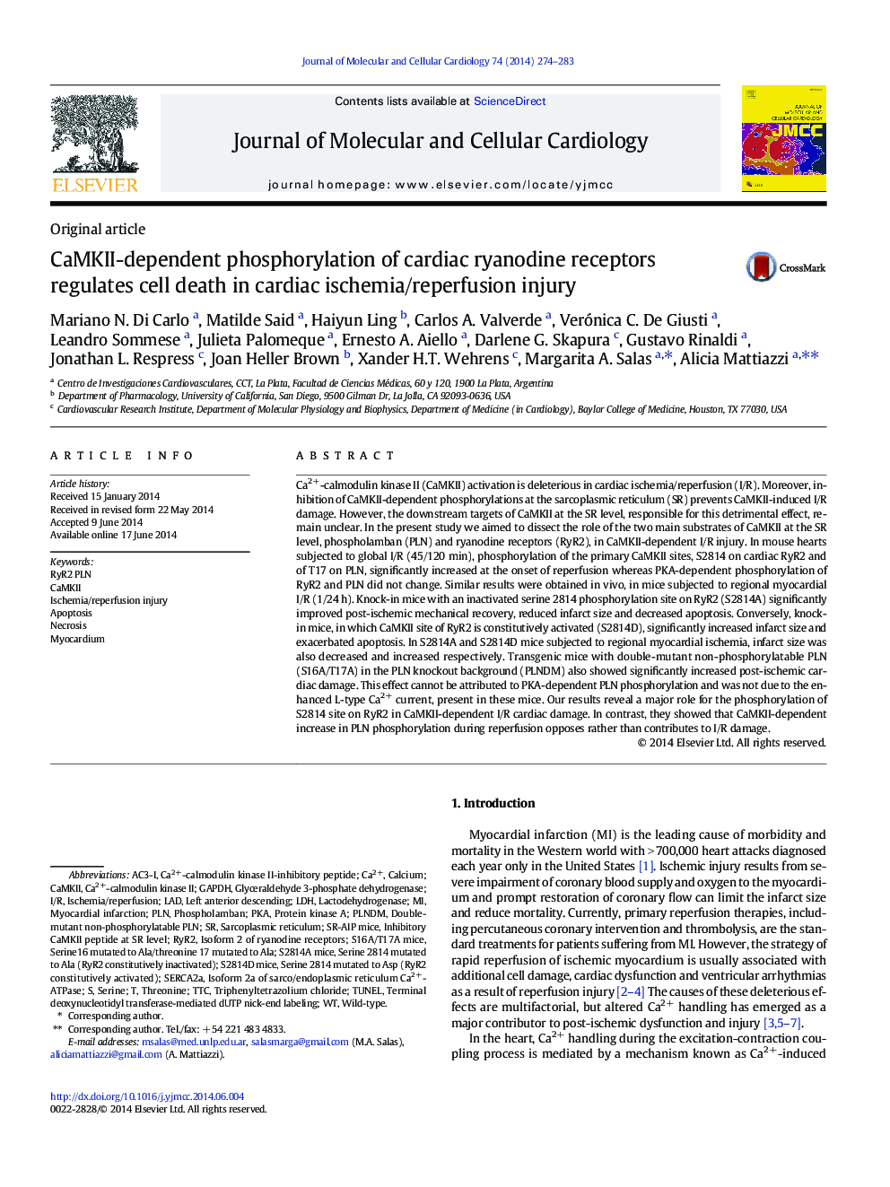 CaMKII-dependent phosphorylation of cardiac ryanodine receptors regulates cell death in cardiac ischemia/reperfusion injury