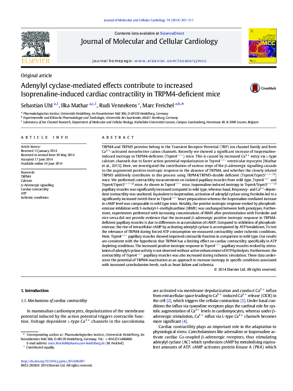 Adenylyl cyclase-mediated effects contribute to increased Isoprenaline-induced cardiac contractility in TRPM4-deficient mice