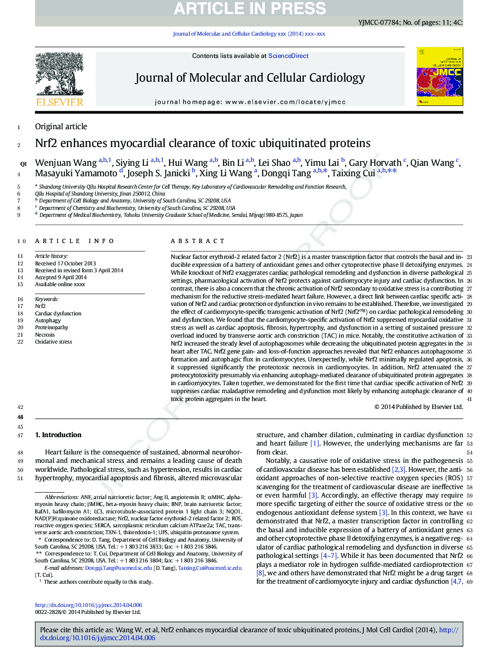 Nrf2 enhances myocardial clearance of toxic ubiquitinated proteins