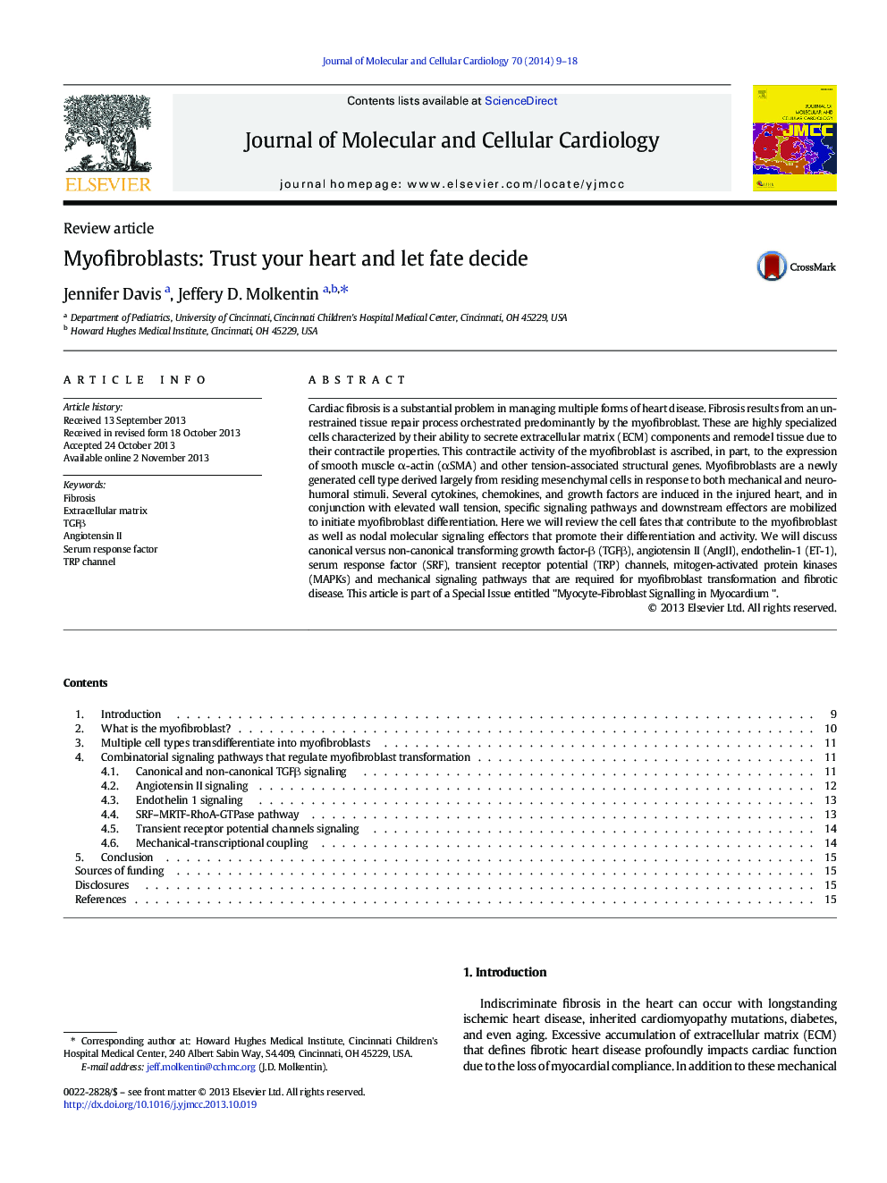 Myofibroblasts: Trust your heart and let fate decide