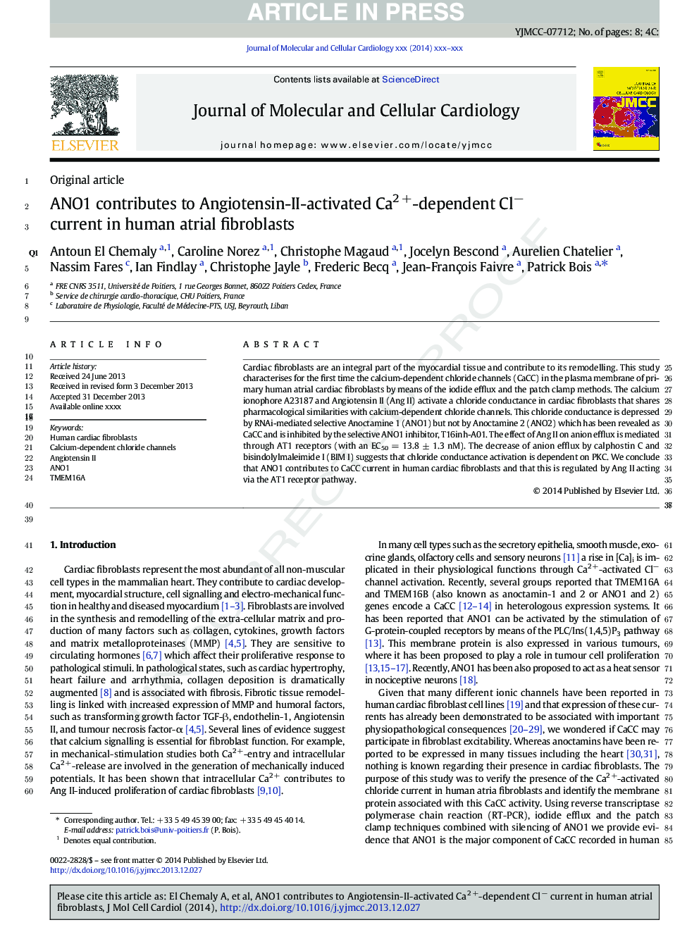 ANO1 contributes to Angiotensin-II-activated Ca2Â +-dependent Clâ current in human atrial fibroblasts