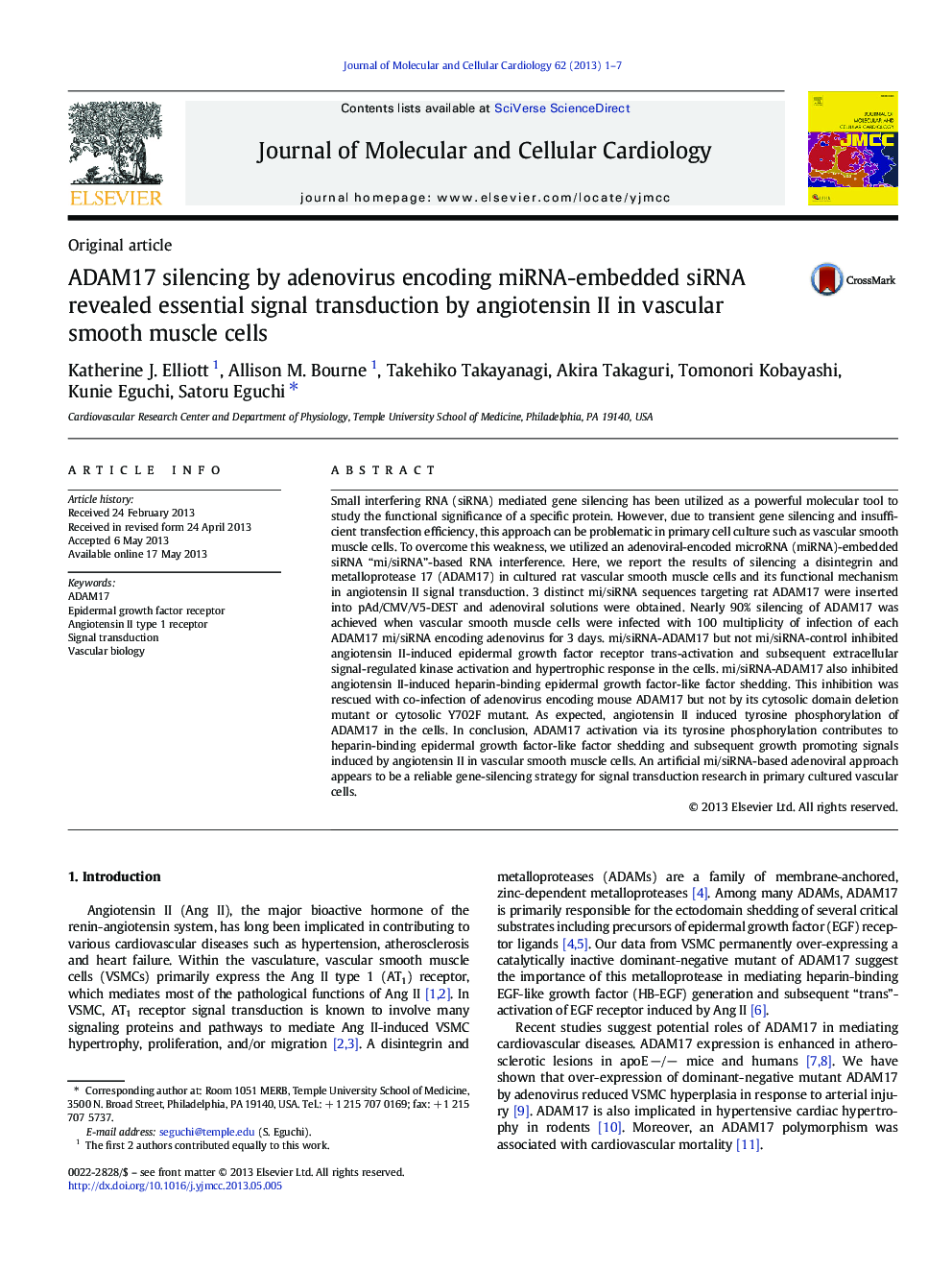 ADAM17 silencing by adenovirus encoding miRNA-embedded siRNA revealed essential signal transduction by angiotensin II in vascular smooth muscle cells