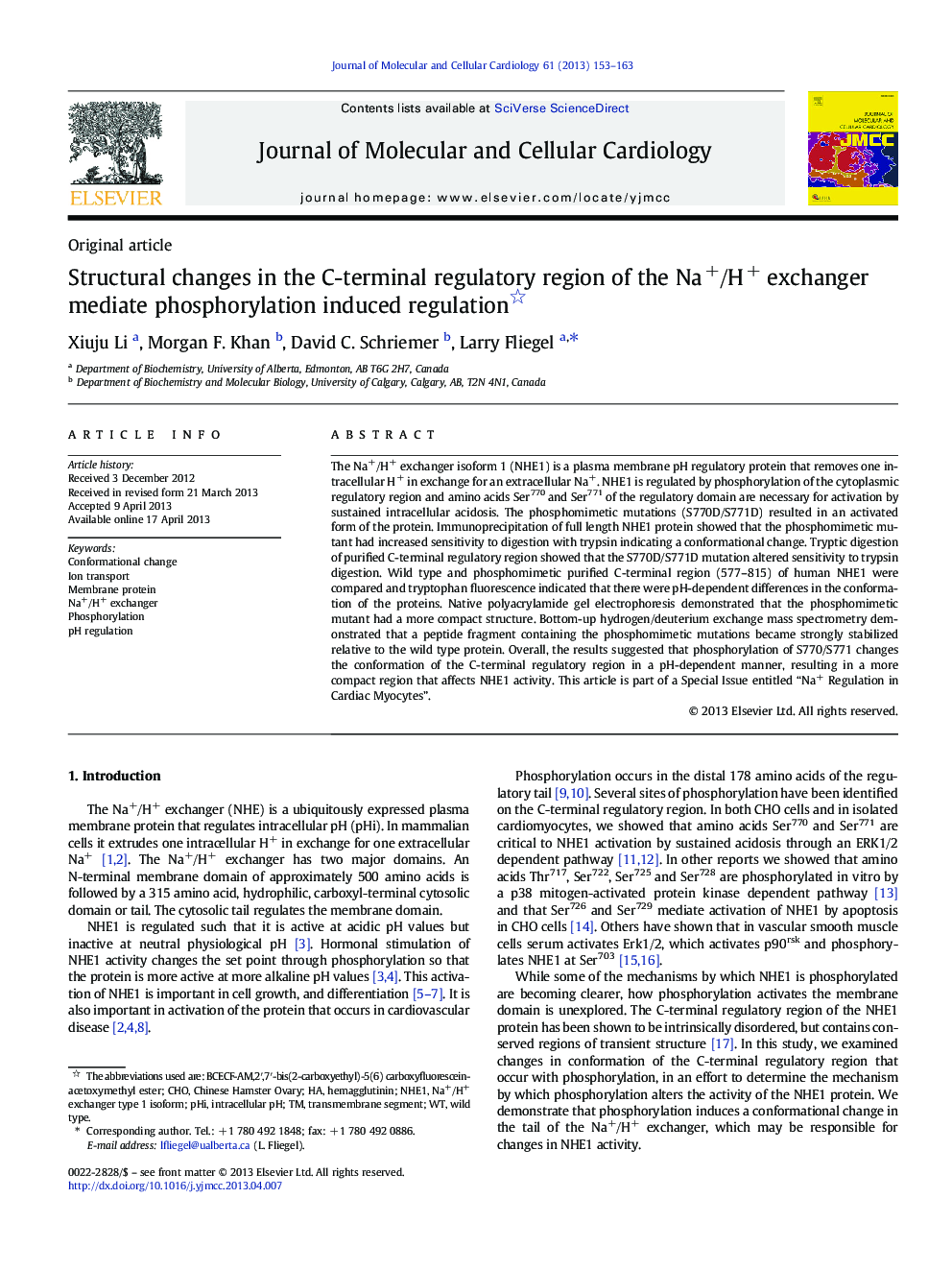 Structural changes in the C-terminal regulatory region of the Na+/H+ exchanger mediate phosphorylation induced regulation