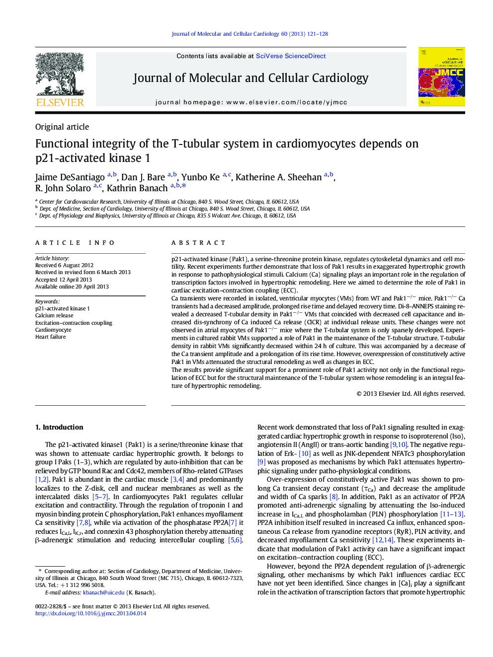 Functional integrity of the T-tubular system in cardiomyocytes depends on p21-activated kinase 1