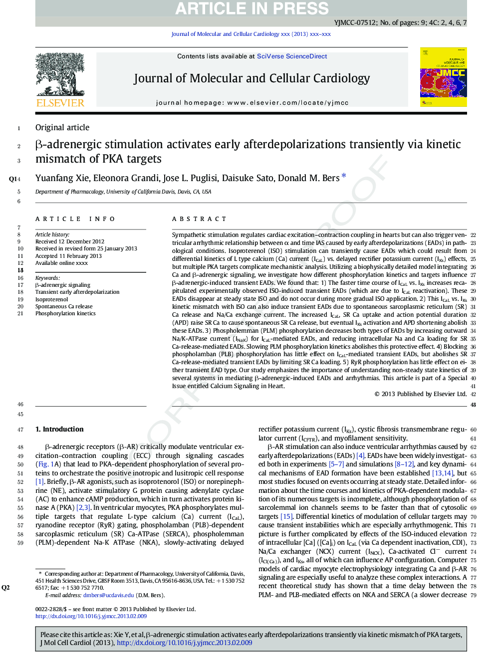 Î²-adrenergic stimulation activates early afterdepolarizations transiently via kinetic mismatch of PKA targets